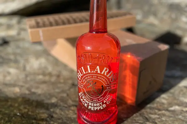 An image of a bottle of Bullards Strawberry gin on a Cornish cliff with Flexi-Hex bottle packaging in the background